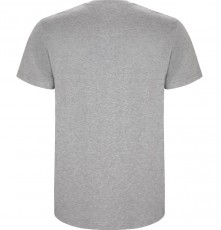 Gruby męski T-shirt Stafford