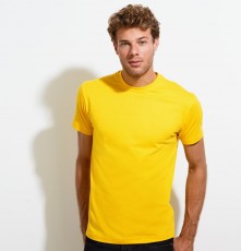 T-shirt męski Imperial T-shirt męski Imperial