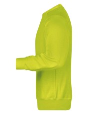 Męska organiczna bluza raglanowa Męska organiczna bluza raglanowa