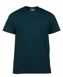 HEAVY COTTON ADULT T-SHIRT 5000 05.GI.2.371