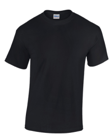 HEAVY COTTON ADULT T-SHIRT 5000 05.GI.2.371