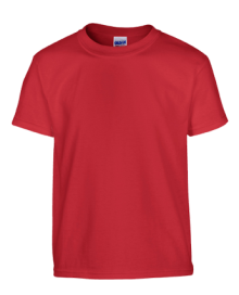 HEAVY COTTON YOUTH T-SHIRT 5000B 05.GI.3.355