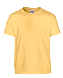 HEAVY COTTON YOUTH T-SHIRT 5000B 05.GI.3.355
