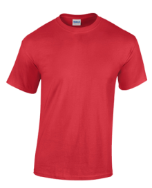 HEAVY COTTON ADULT T-SHIRT 5000 05.GI.2.371