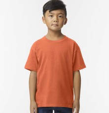 SOFTSTYLE MIDWEIGHT YOUTH T-SHIRT 65000B 05.GI.3.E42.1G15