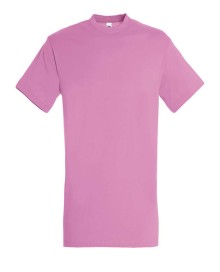 REGENT T-SHIRT 150 11380 05.SL.2.L78 REGENT T-SHIRT 150 11380 05.SL.2.L78