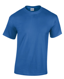 HEAVY COTTON ADULT T-SHIRT 5000 05.GI.2.371