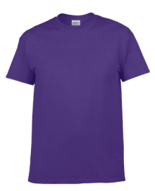 HEAVY COTTON ADULT T-SHIRT 5000 05.GI.2.371