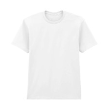 SOFTSTYLE MIDWEIGHT ADULT NO LABEL ENZYME WASH T-S 65ENLB0 05.GI.2.G02.1A01 SOFTSTYLE MIDWEIGHT ADULT NO LABEL ENZYME WASH T-S 65ENLB0 05.GI.2.G02.1A01