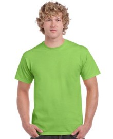 ULTRA COTTON<sup>™</sup> ADULT T-SHIRT 2000 05.GI.2.461